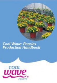 coolwaveproduction