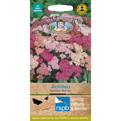 Seminte ACHILLEA millefolium- Summer Berries -Coada soricelului Seminte ACHILLEA millefolium- Summer Berries -Coada soricelului