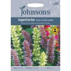 Seminte AGASTACHE foeniculum- Blue&White Mixed -Menta mexicana Seminte AGASTACHE foeniculum- Blue&White Mixed -Menta mexicana