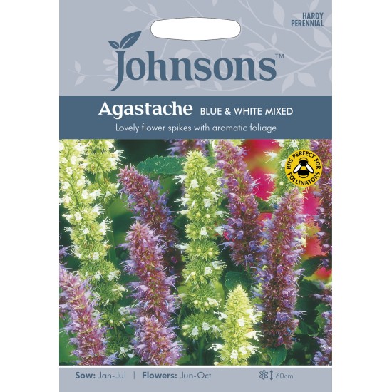 Seminte AGASTACHE foeniculum- Blue&White Mixed -Menta mexicana Seminte AGASTACHE foeniculum- Blue&White Mixed -Menta mexicana