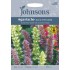Seminte AGASTACHE foeniculum- Blue&White Mixed -Menta mexicana