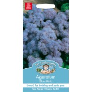 Seminte AGERATUM houstonianum- Blue Mink -Pufuleti