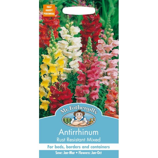 Seminte ANTIRRHINUM majus- Rust Resistant Mixed -Gura Leului