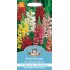Seminte ANTIRRHINUM majus- Rust Resistant Mixed -Gura Leului