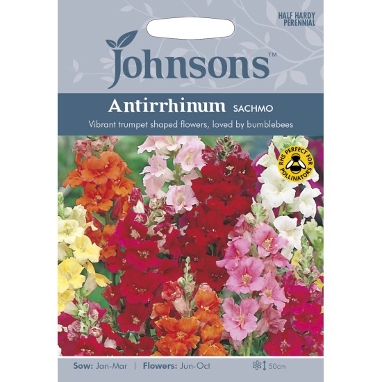 Seminte ANTIRRHINUM majus- Sachmo -Gura Leului