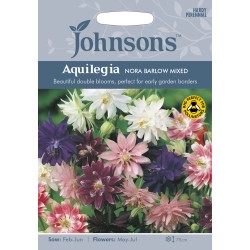 Seminte AQUILEGIA vulgaris- Nora Barlow Mixed -Caldaruse Seminte AQUILEGIA vulgaris- Nora Barlow Mixed -Caldaruse