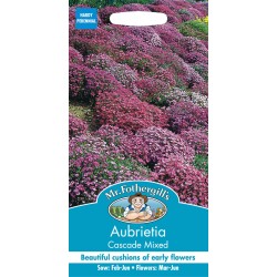 Seminte AUBRIETA cultorum- Cascade Mix -Aubrieta Seminte AUBRIETA cultorum- Cascade Mix -Aubrieta