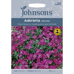 Seminte AUBRIETA cultorum- Red King -Aubretia Seminte AUBRIETA cultorum- Red King -Aubretia