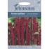 Seminte AMARANTHUS caudatus- Love Lies Bleeding -Motul curcanului