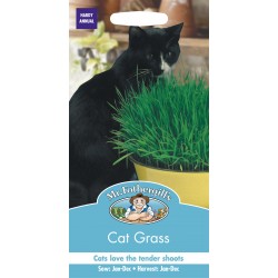 Seminte AVENA sativa Cat Grass - Iarba pisicii