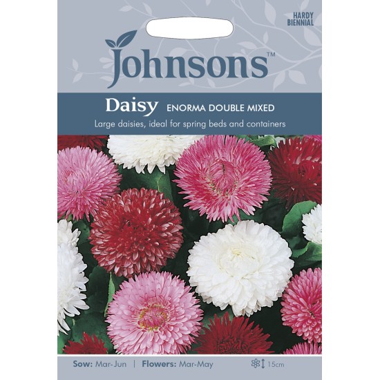 Seminte BELLIS perennis-Daisy- Enorma Double Mixed -Paralute, Banutei Seminte BELLIS perennis-Daisy- Enorma Double Mixed -Paralute, Banutei