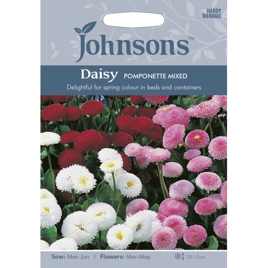 Seminte BELLIS perennis-Daisy- Pomponette Mixed -Paralute, Banutei Seminte BELLIS perennis-Daisy- Pomponette Mixed -Paralute, Banutei