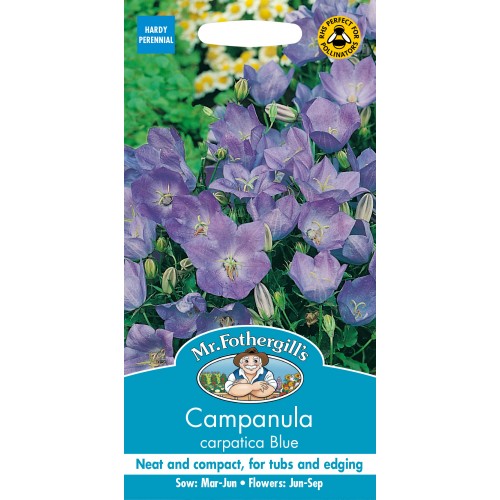 Seminte CAMPANULA carpatica - Blue -Clopotei pitici