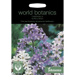 Seminte CAMPANULA lactiflora Mixed Bellflowers - Clopotei