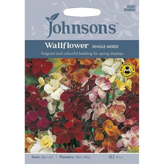 Seminte CHEIRANTHUS cheiri-Wallflower- Single Mix -Micsunele Seminte CHEIRANTHUS cheiri-Wallflower- Single Mix -Micsunele