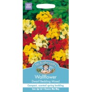 Seminte CHEIRANTHUS cheiri-Wallflower- Dwarf Bedding Mix -Micsunele