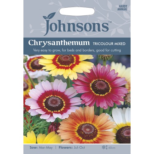 Seminte CHRYSANTHEMUM carinatum - Tricolour Single Mixed -Crizantema pitica