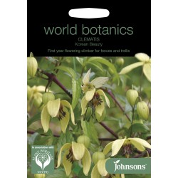 Seminte CLEMATIS chinensis - Korean Beauty -Clematita