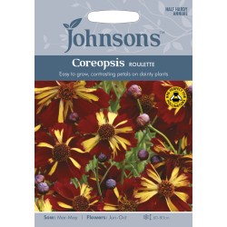 Seminte COREOPSIS tinctoria- Roulette -Lipscanoaice Seminte COREOPSIS tinctoria- Roulette -Lipscanoaice