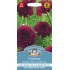 Seminte COSMOS bipinnatus- Double Click Cranberries -Mararite 