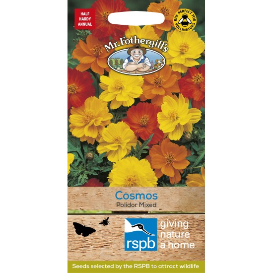 Seminte COSMOS sulphureus- Polidor Mixed -Mararite 