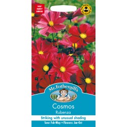 Seminte COSMOS bipinnatus- Rubenza -Mararite  Seminte COSMOS bipinnatus- Rubenza -Mararite