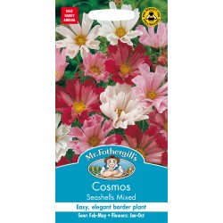 Seminte COSMOS bipinnatus- Seashells Mixed -Mararite  Seminte COSMOS bipinnatus- Seashells Mixed -Mararite