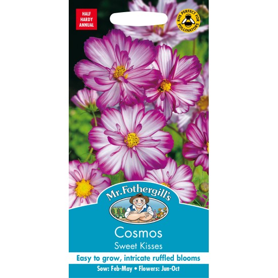 Seminte COSMOS bipinnatus- Sweet Kisses -Mararite