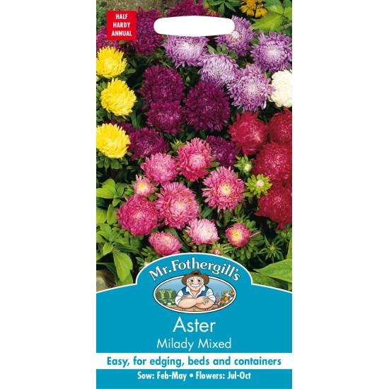 Seminte CALLISTEPHUS chinensis-Aster pot- Milady Mixed -Ochiul Boului pitic Seminte CALLISTEPHUS chinensis-Aster pot- Milady Mixed -Ochiul Boului pitic