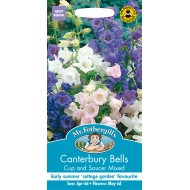 Seminte CAMPANULA medium-Canterbury Bells- Cup and Saucer -Clopotei inalti