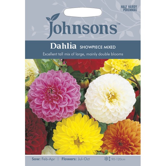 Seminte DAHLIA hortensis- Showpiece Mix -Dalia, gherghine Seminte DAHLIA hortensis- Showpiece Mix -Dalia, gherghine