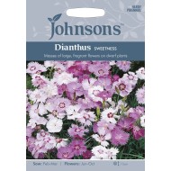 Seminte DIANTHUS plumarius- Sweetness -Garofite pitice