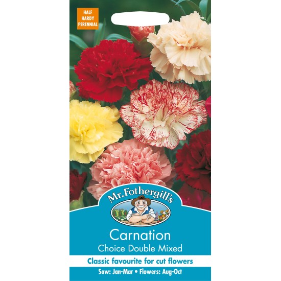 Seminte DIANTHUS caryophyllus-Carnation- Choice Double Mixed -Garofite Seminte DIANTHUS caryophyllus-Carnation- Choice Double Mixed -Garofite