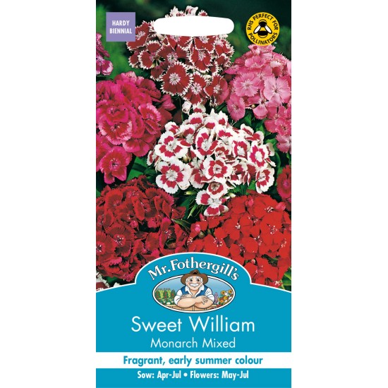 Seminte DIANTHUS barbatus-Sweet William- Monarch Mixed -Garofite turcesti