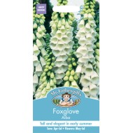 Seminte DIGITALIS purpurea-Foxglove- Alba -Degetel