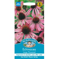 Seminte ECHINACEA purpurea- Large Flowered -Echinacea roz Seminte ECHINACEA purpurea- Large Flowered -Echinacea roz