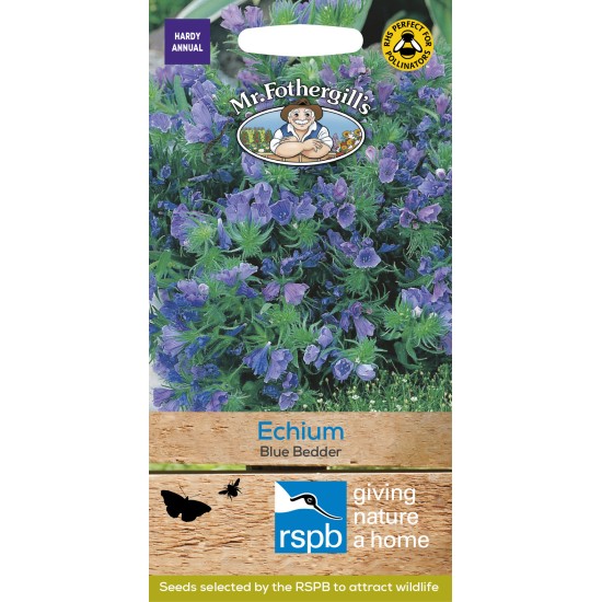 Seminte ECHIUM vulgare- Blue Bedder -Iarba sarpelui Seminte ECHIUM vulgare- Blue Bedder -Iarba sarpelui