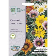 Seminte GAZANIA splendens- Talent Mixed -Gazania