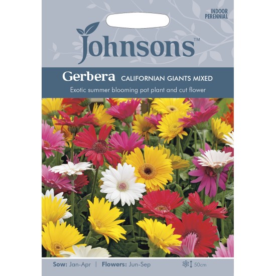 Seminte GERBERA jamesonii- California Giant Mixed -Gerbera Seminte GERBERA jamesonii- California Giant Mixed -Gerbera