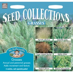 Seminte Grasses COLLECTION - Colectie ierburi decorative 6 specii