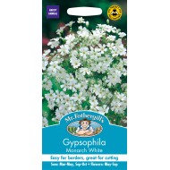 Seminte GYPSOPHILA elegans- Monarch White -Floarea Miresei Seminte GYPSOPHILA elegans- Monarch White -Floarea Miresei