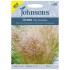 Seminte Grass-STIPA tenuissima- (Pony Tails) -Par de inger-Iarba decorativa