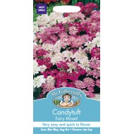 Seminte IBERIS umbellata-Candytuft- Fairy Mixed - Lilicele