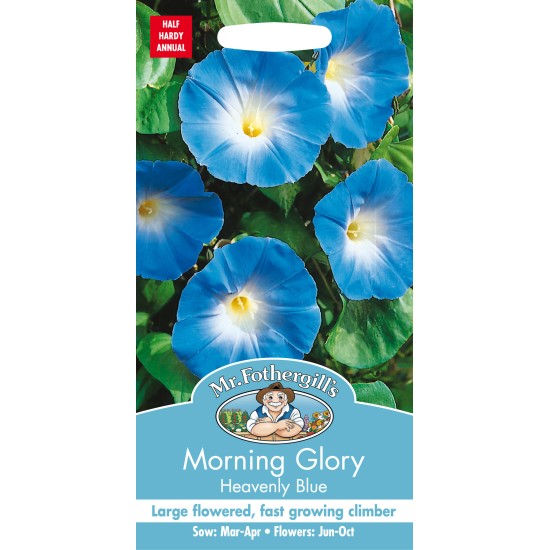 Seminte IPOMOEA tricolor-Morning Glory- Heavenly Blue -Zorele