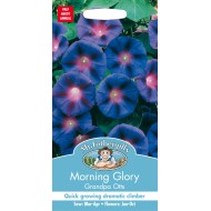 Seminte IPOMOEA purpurea-Morning Glory- Grandpa Otts -Zorele