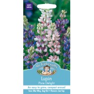 Seminte LUPINUS nanus-Lupin- Pixie Delight (Mixed) -Cafeluta pitica