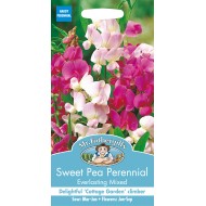 Seminte LATHYRUS latifolius-Sweet Pea- Everlasting Mixed -Sangele voinicului Seminte LATHYRUS latifolius-Sweet Pea- Everlasting Mixed -Sangele voinicului