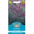 Seminte LAVANDULA stoechas- French Lavender -Lavanda frantuzeasca