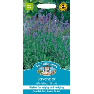 Seminte LAVANDULA angustifolia-Lavender- Munstead -Lavanda mov