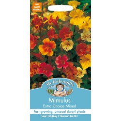 Seminte MIMULUS hybridus- Extra Choice Mixed -Mimulus